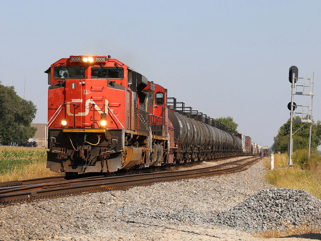 CN 8006